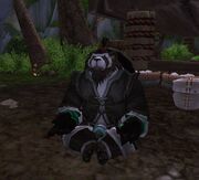 Chen Stormstout in VFW.jpg
