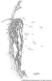 Nymph.jpg