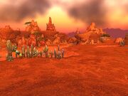 Durotar1.jpg