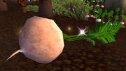 UprootedTurnip