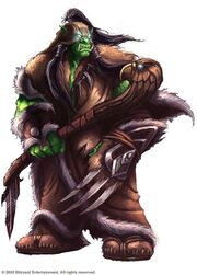 Image result for orc shaman