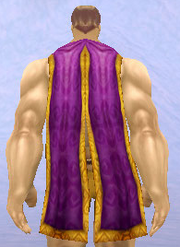 High Councillor's Cloak