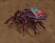 Scarab Hatchling red