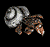 Hermitcrab