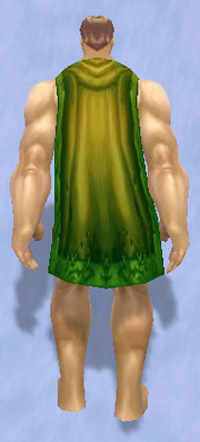 Shimmering Cloak, Snow Background, Human Male
