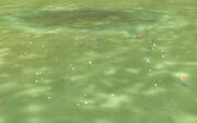 Abundant Firefin Snapper School