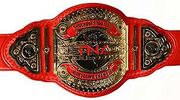 TNA Knockouts Tag Titles
