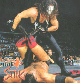 Sting04.gif