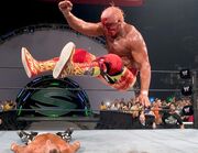 HULK HOGAN-LEG DROP.jpg
