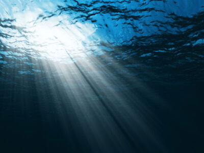 Save-the-ocean-tips 13821 600x450