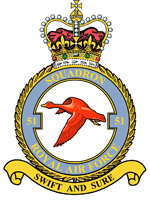 Squadron Emblem