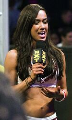 AJ Lee.jpg
