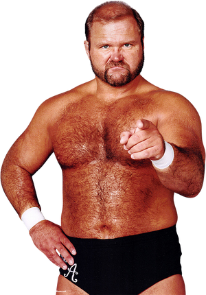 Arn Anderson