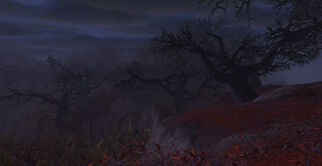 Darkmoon