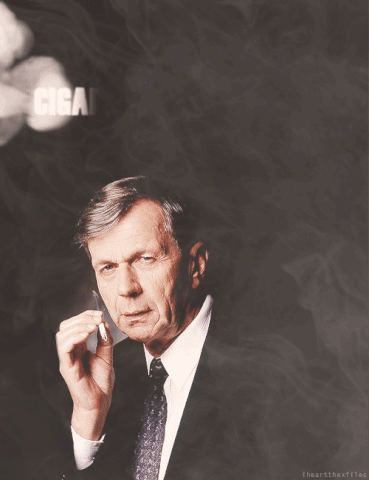 File:Tumblr mld1eqdRUd1qg6jp5o1 500.gif