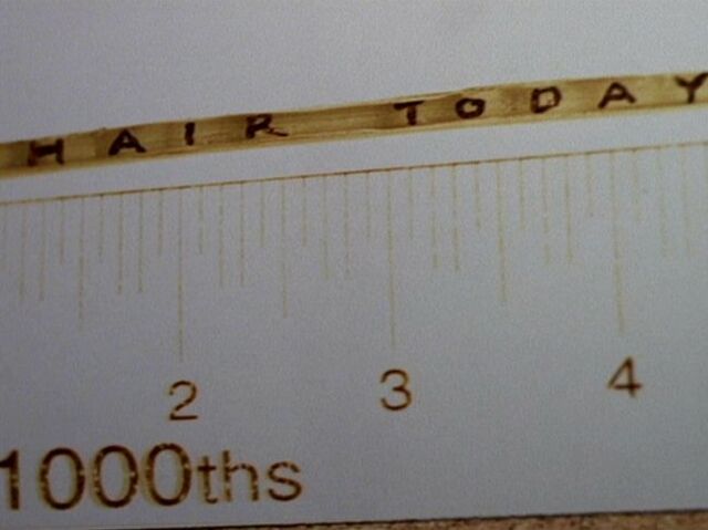 File:Hair today.jpg