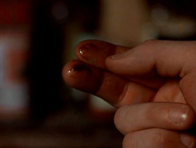 File:Wood mite greasy residue.jpg