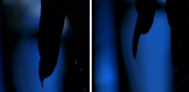 File:Long-clawed alien's claws.jpg