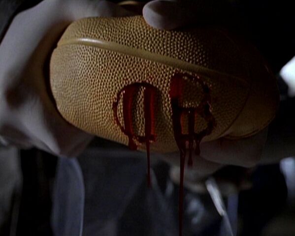 File:Blood-filled ball.jpg