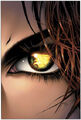 Thumbnail for version as of 10:10, November 15, 2008