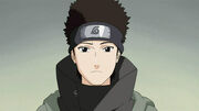 Shino-without-glasses-shino-aburame-18828864-1280-720