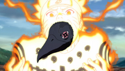Episode298