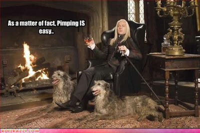 Lucius is British