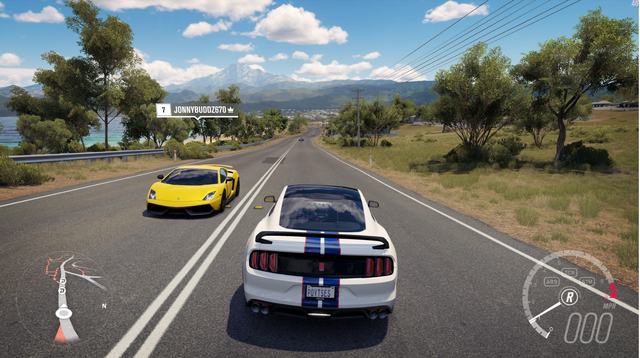 File:FH3GAMEPLAY.png