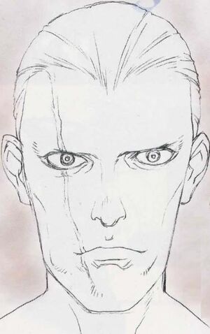 File:Margulis-sketch.jpg