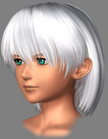 File:ChaosP.png