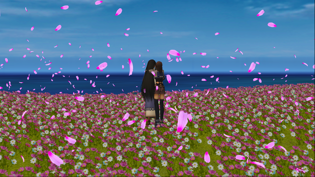 File:Field2.png