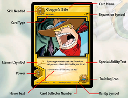 Parts of a Card