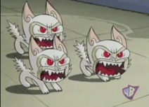 File:Katnappe 2.jpeg