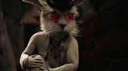 Wx05 White Rabbit.png