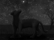 UnderTheSameStars