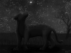 UnderTheSameStars