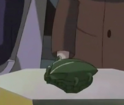 Object 1