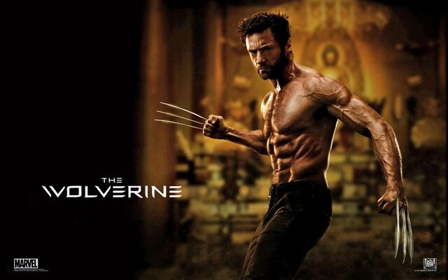 File:The wolverine 2013 movie-wide-1-.jpg