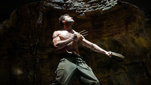 File:The Wolverine - pit.jpg