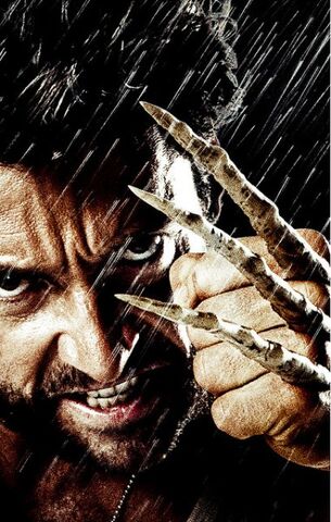 File:Wolverine 03.jpg