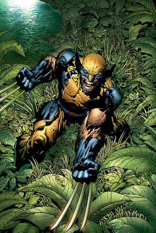 File:Wolverine by David Finch.jpg