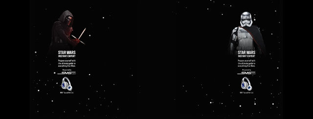 File:IE Skin 2100x800.jpg