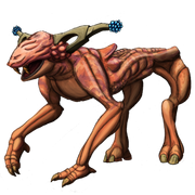 SPC ANIMAL005 300x300