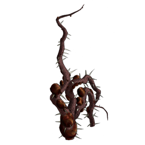 SPC PLANT010 300x300