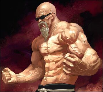 245383-1 master roshi super