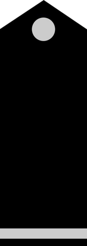 File:Space Battleship Yamato 2199 Rank insignia 10.png