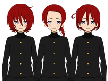 Alt hair