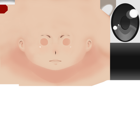 File:FaceTemplate.png