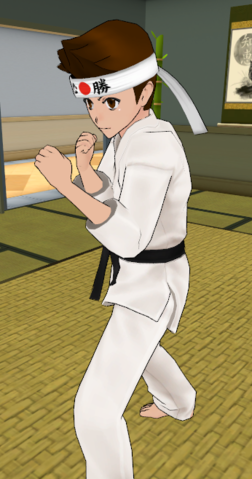 Sho spar june.png