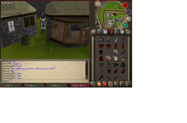 File:Barrows and Inventory.jpeg